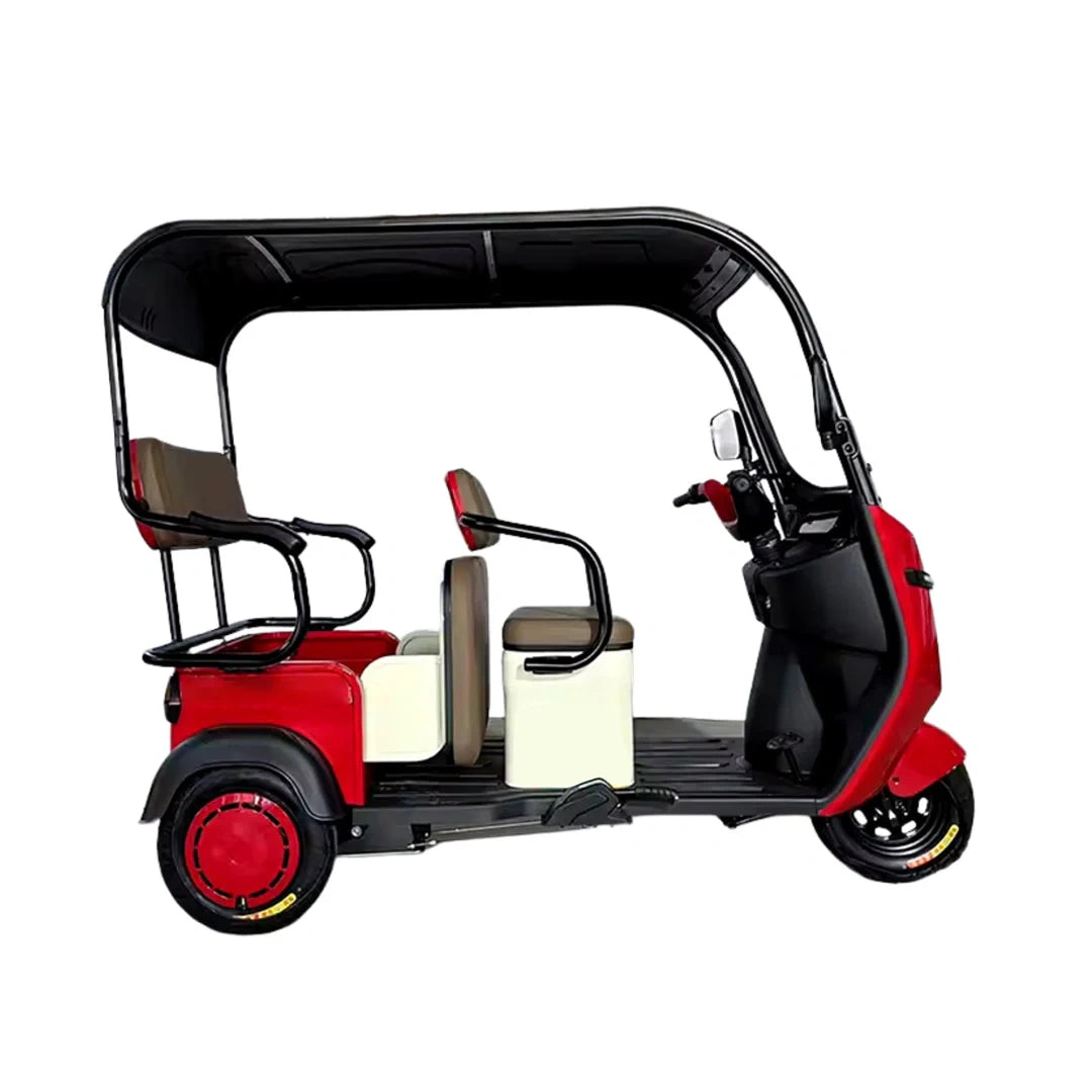 Enclosed 3-Passenger Electric Tricycle with Roof and 1500W Motor