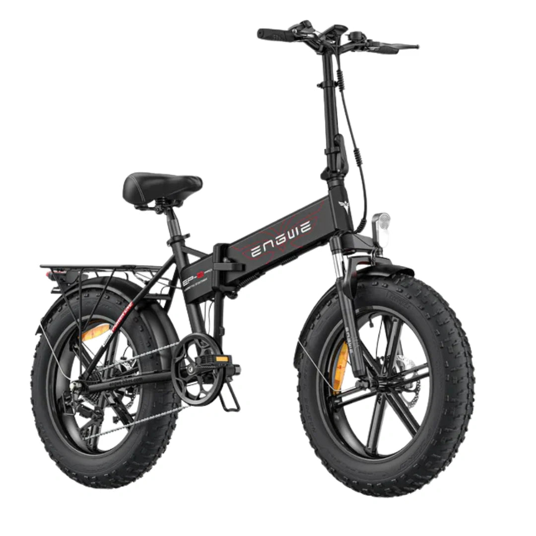 Folding Fat Tire Electric Bike with 750W Motor and 120 km PAS Range