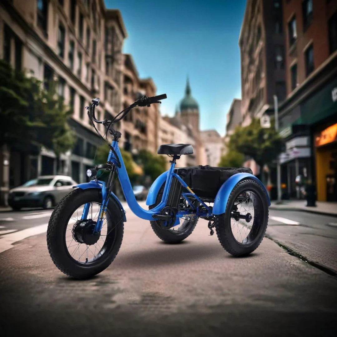 Electric Cargo Trike with Fat Tires and 300kg Load Capacity