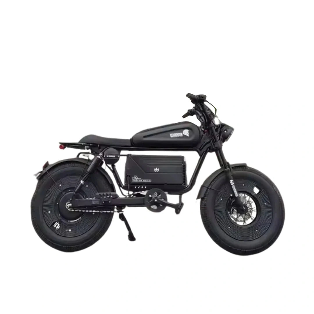 Fat Tire Electric Chopper Bike with 1000W Motor and Removable Battery