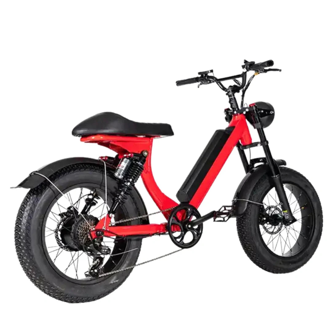 Retro Fat Tire Electric Bike with 500W Motor and 48V Removable Battery