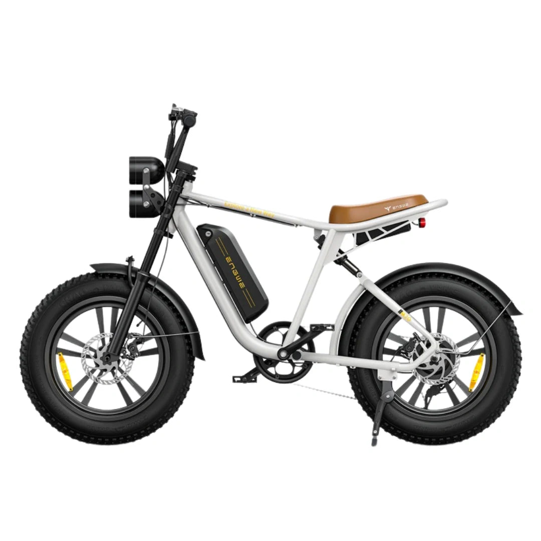 Electric Fat Tire Bike with 750W Motor and 20x4.0 Inch All-Terrain Tires