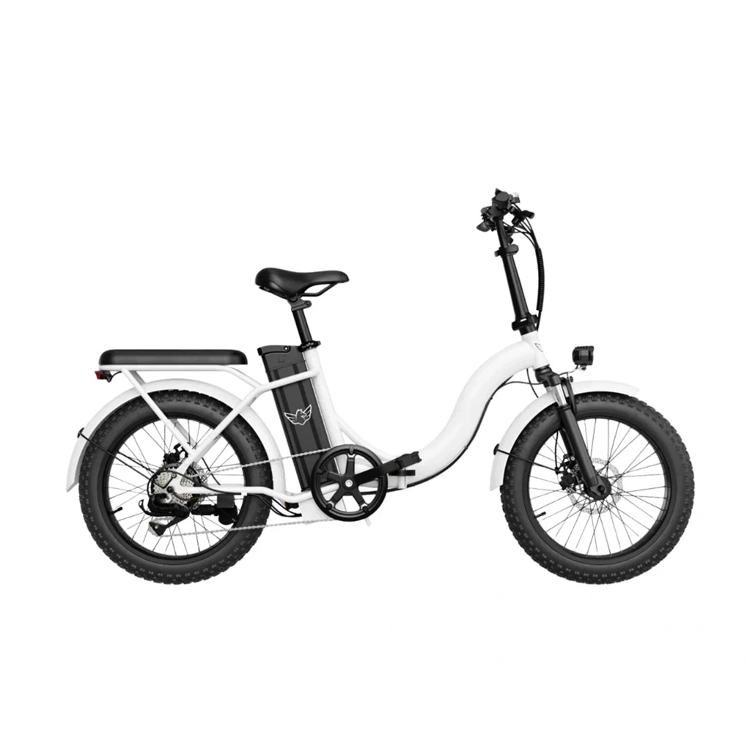Lightweight Folding Electric Bike with 350W Motor and 50km Range