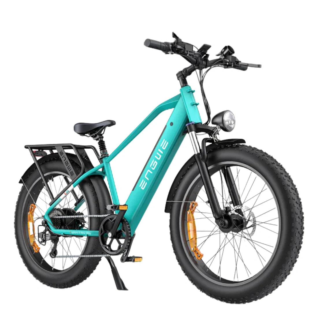 Long-Range Electric Mountain Bike with 250W Motor and 48V 16Ah Battery