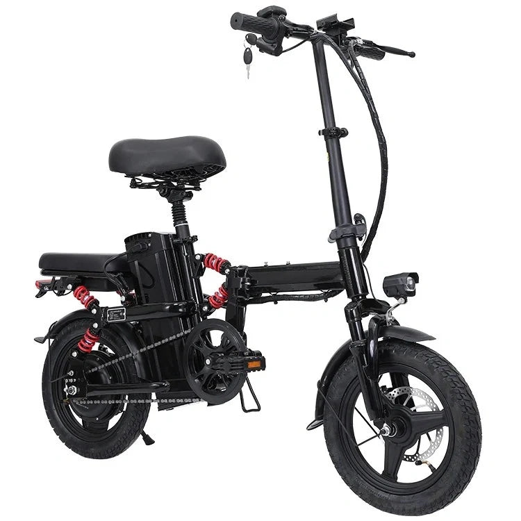 Foldable Electric Bike with 350W Motor, Removable Battery, and Dual Seat