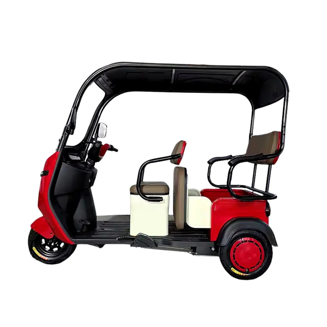 Enclosed 3-Passenger Electric Tricycle with Roof and 1500W Motor