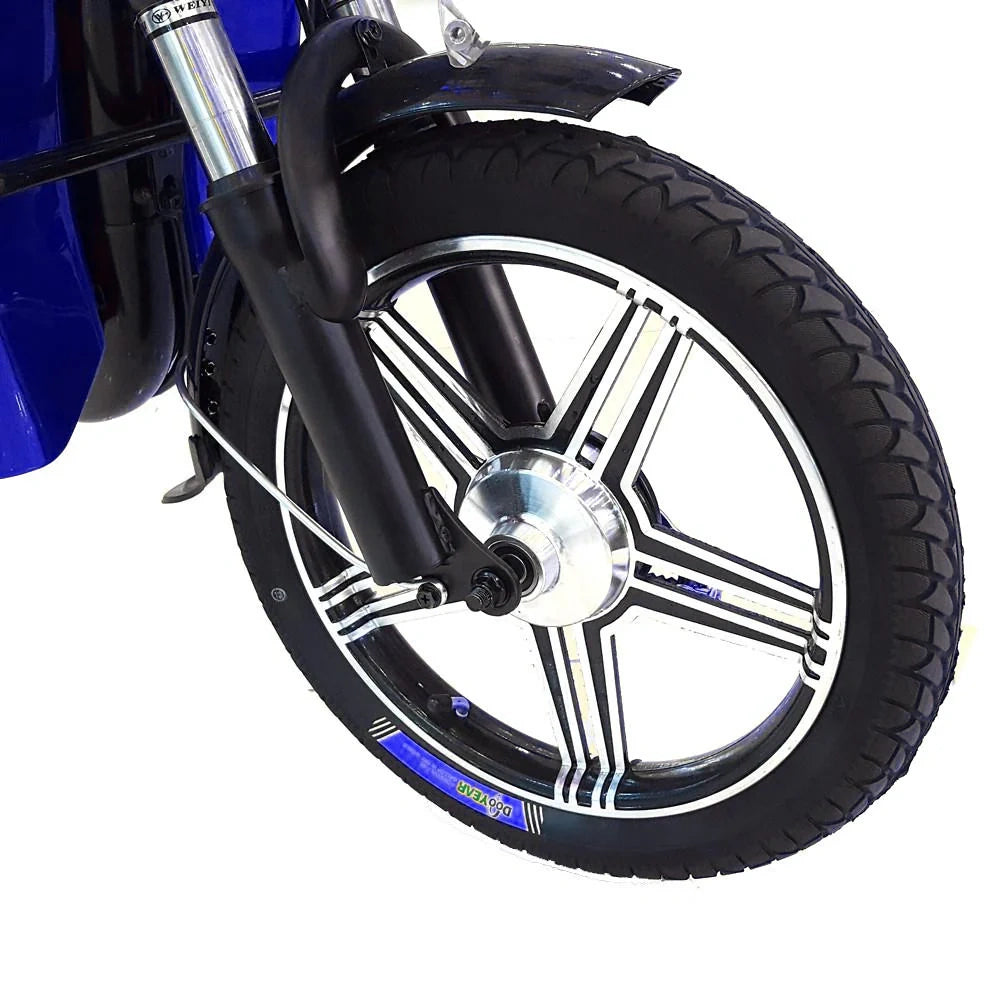 Electric Utility Bike with 500W Motor and 48V Removable Battery