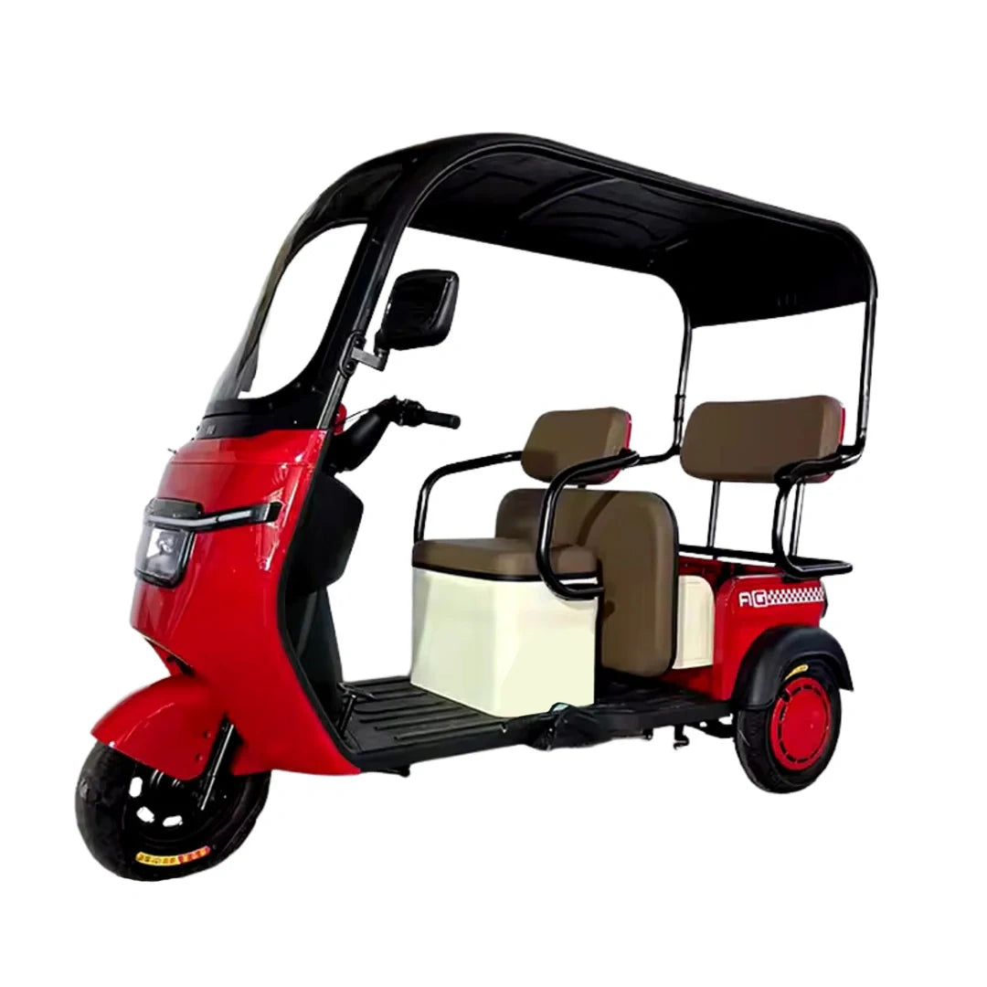 Enclosed 3-Passenger Electric Tricycle with Roof and 1500W Motor
