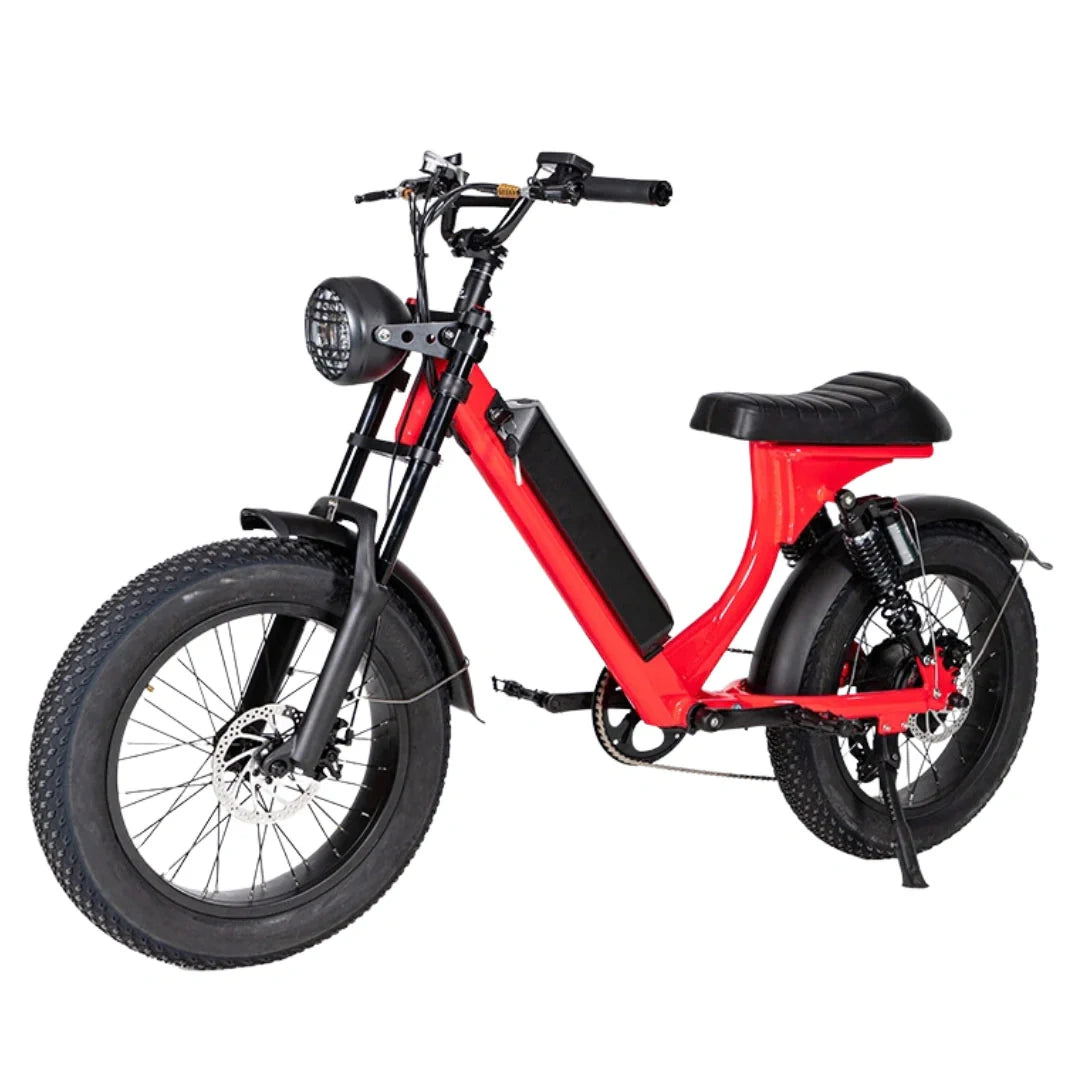 Retro Fat Tire Electric Bike with 500W Motor and 48V Removable Battery