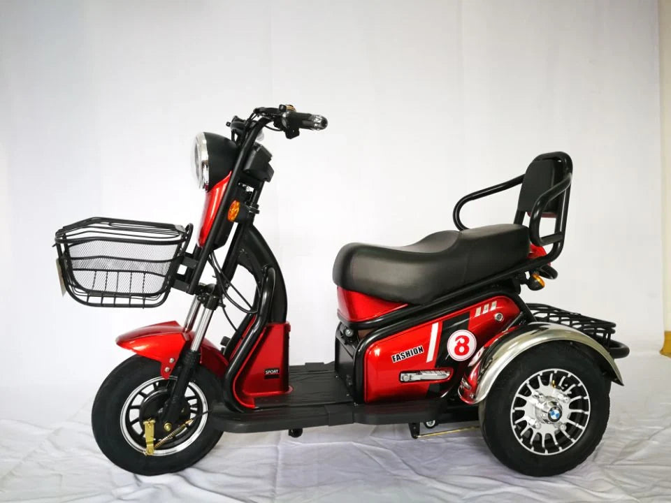 Three-Wheel Electric Scooter with Dual Seats and 500W Motor