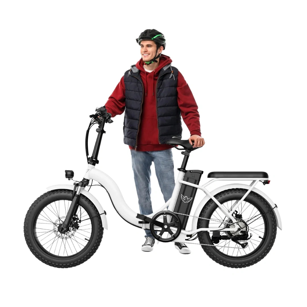 Lightweight Folding Electric Bike with 350W Motor and 50km Range