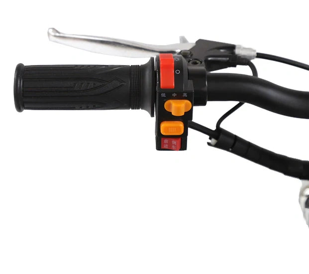 Foldable Electric Mobility Scooter with 350W Motor