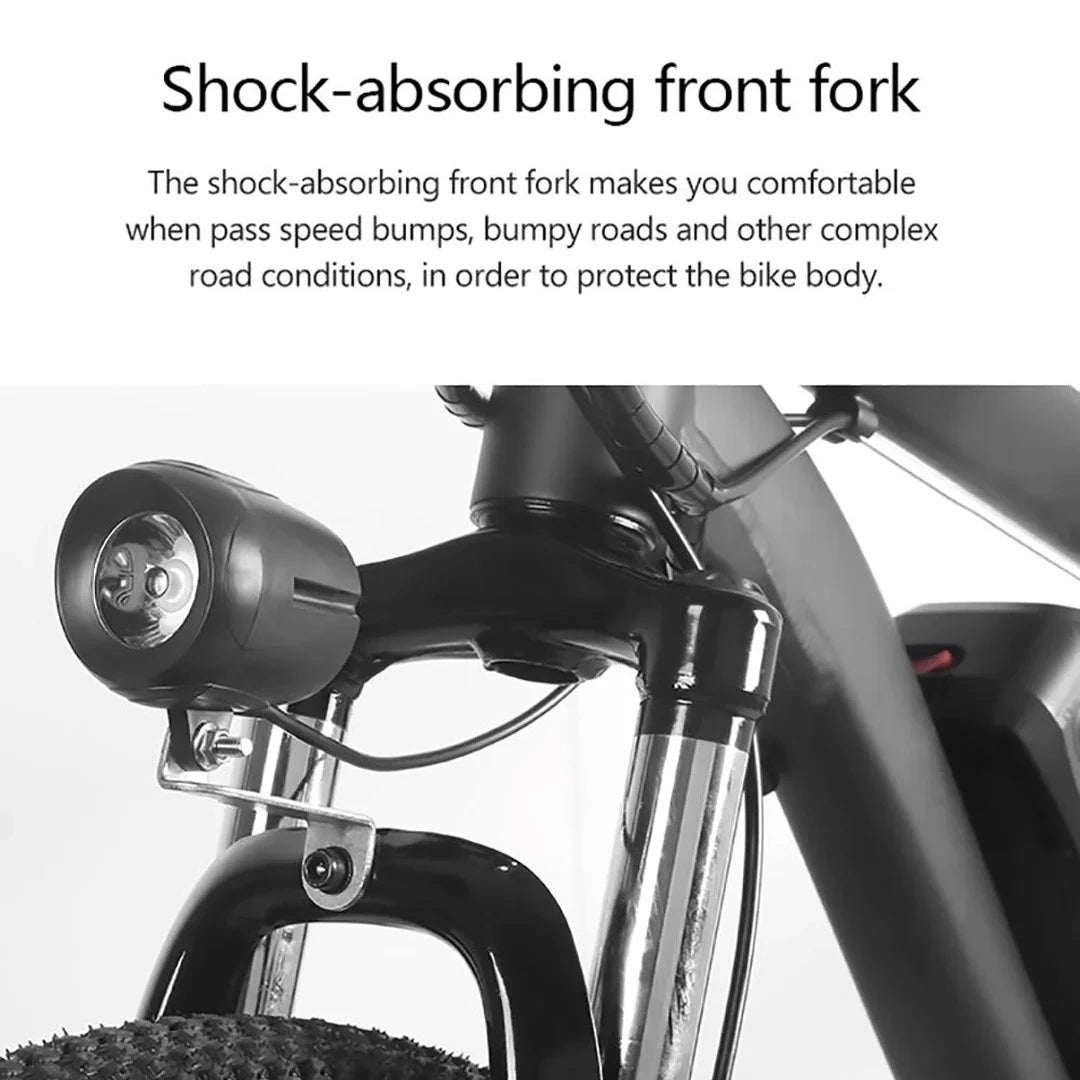 Electric Mountain Bike with 350W Motor and Removable Battery