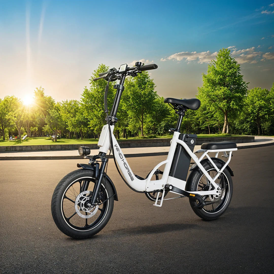 Lightweight Folding Electric Bike with 350W Motor and 50km Range