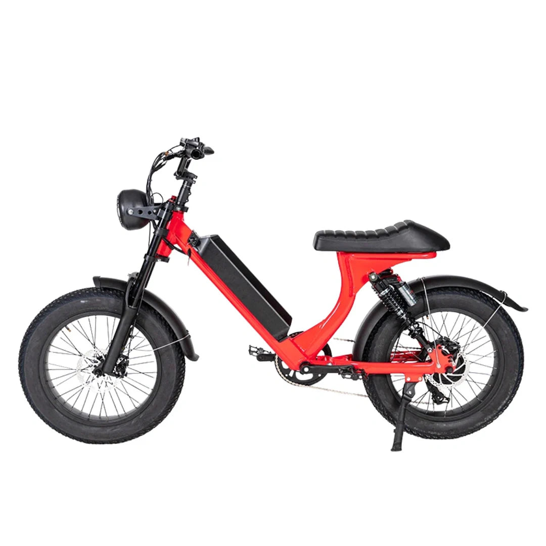 Retro Fat Tire Electric Bike with 500W Motor and 48V Removable Battery