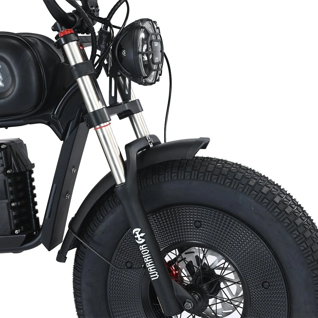 Fat Tire Electric Chopper Bike with 1000W Motor and Removable Battery