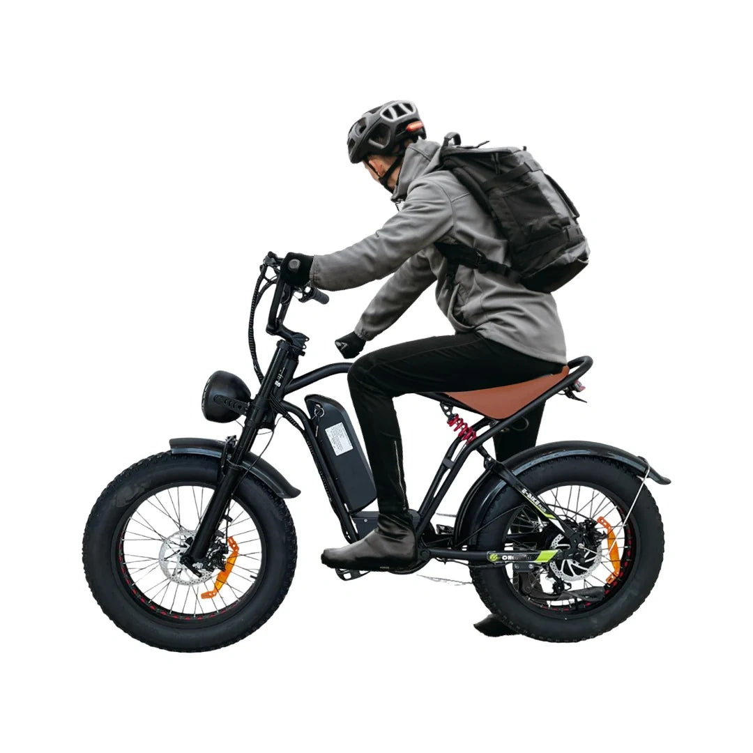 High-Power Electric Fat Tire Mountain Bike with 1000W Motor and Full Suspension