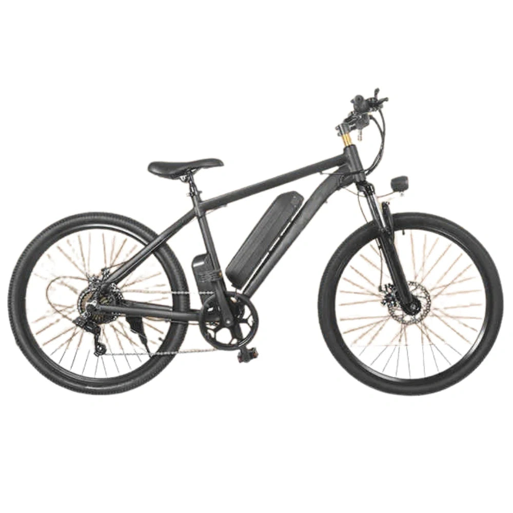 Electric Mountain Bike with 350W Motor and Removable Battery
