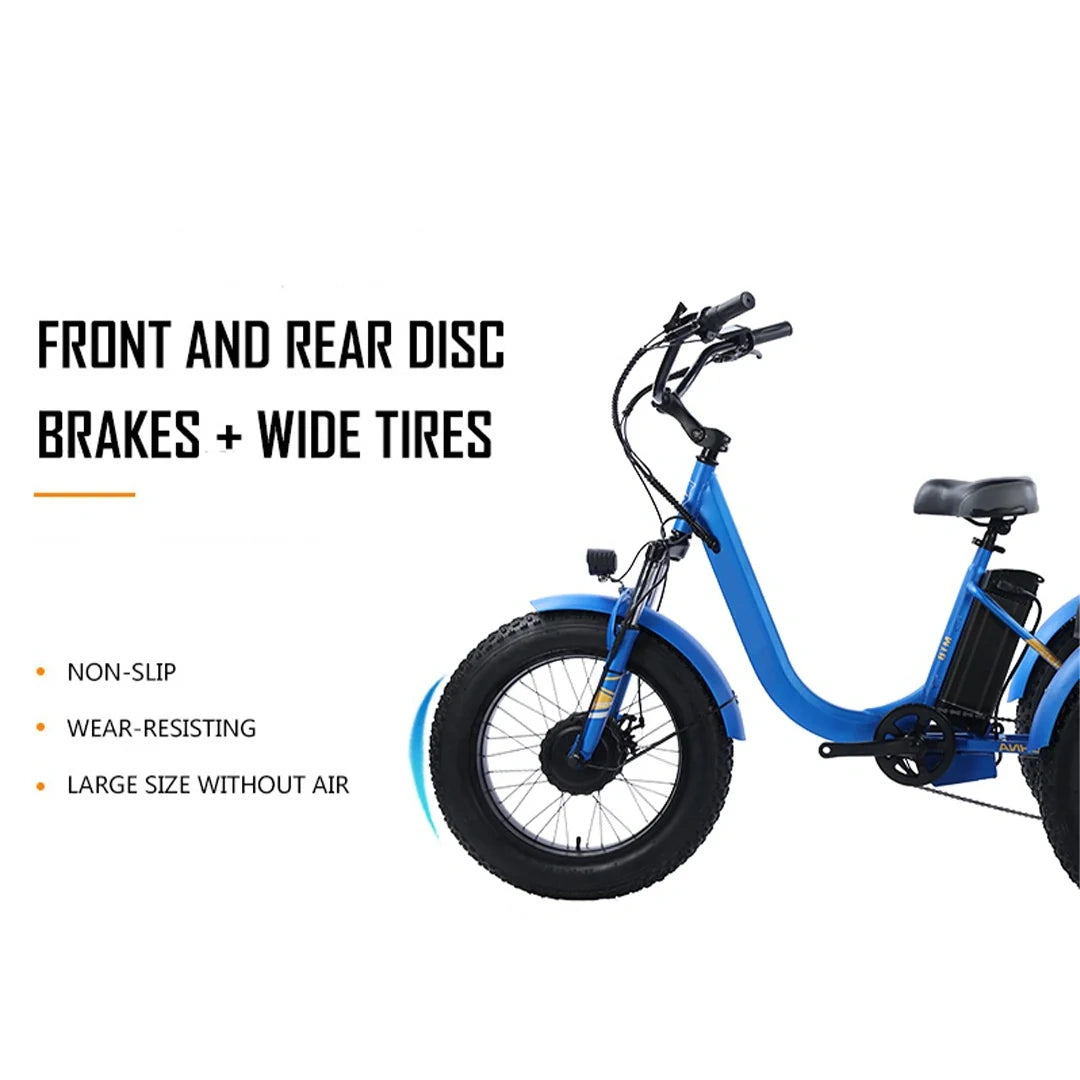 Electric Cargo Trike with Fat Tires and 300kg Load Capacity