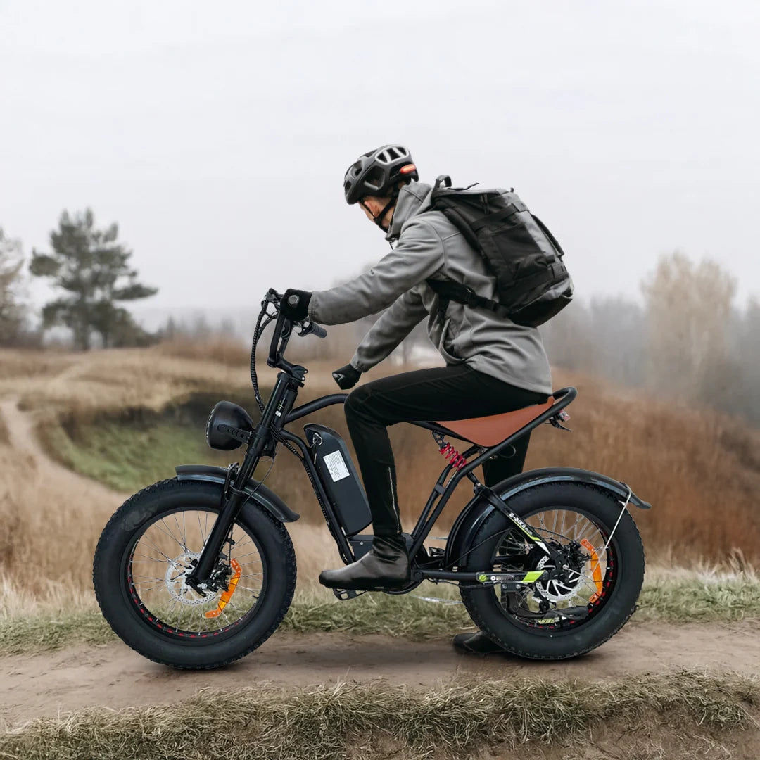 High-Power Electric Fat Tire Mountain Bike with 1000W Motor and Full Suspension