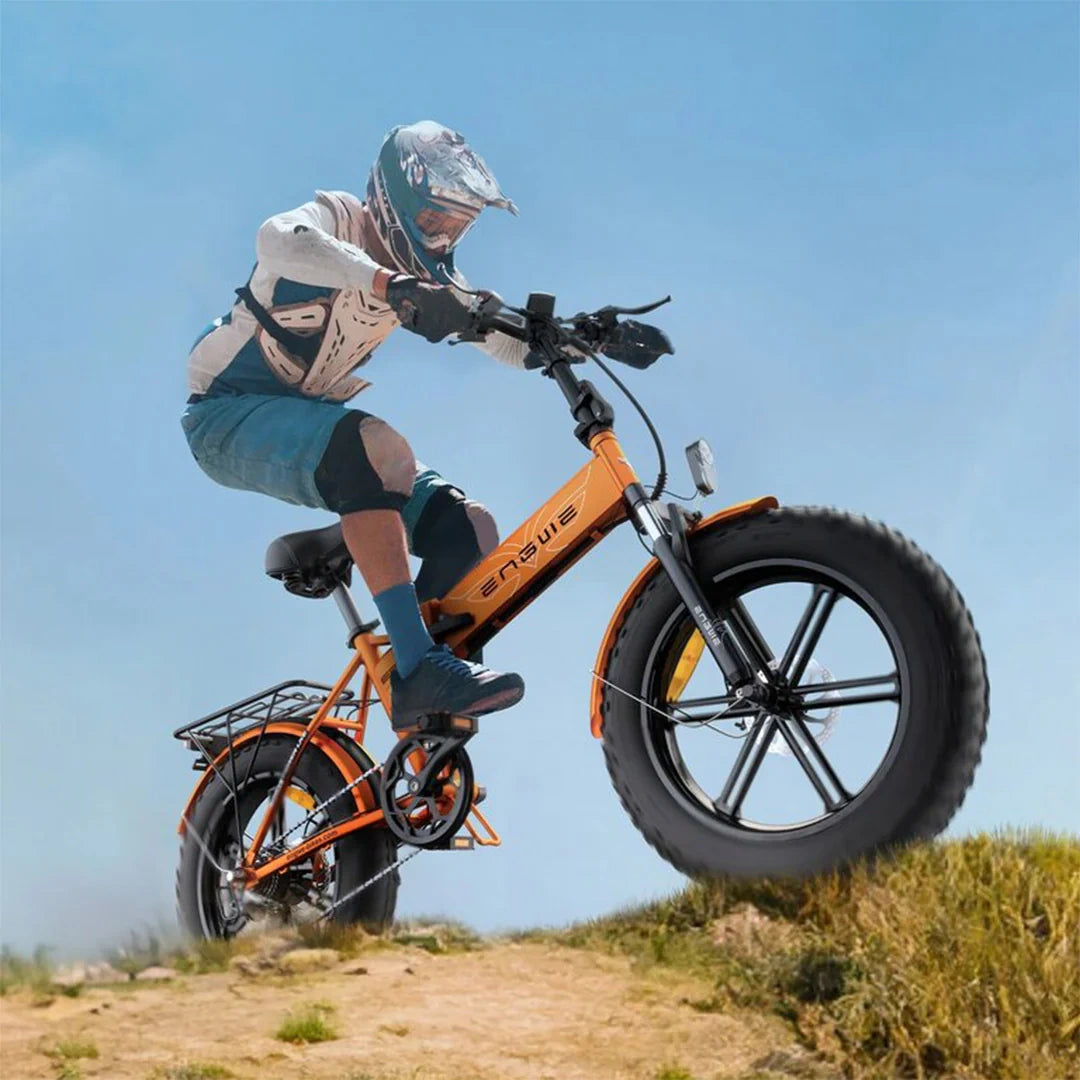 Folding Fat Tire Electric Bike with 750W Motor and 120 km PAS Range