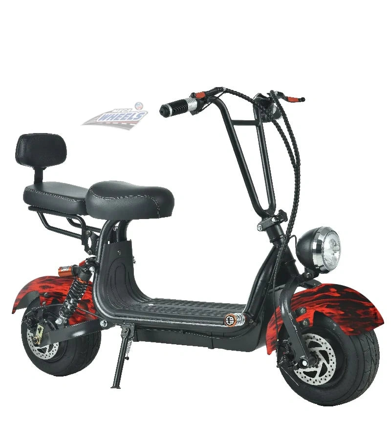 Compact Fat Tyre Electric Scooter with Removable Battery