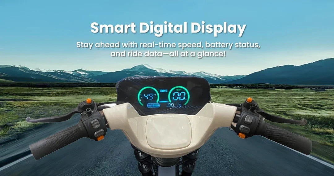 Enclosed 3-Passenger Electric Tricycle with Protective Roof and 800W Motor