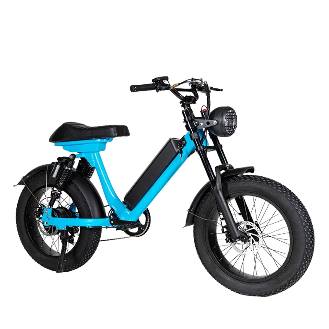 Retro Fat Tire Electric Bike with 500W Motor and 48V Removable Battery