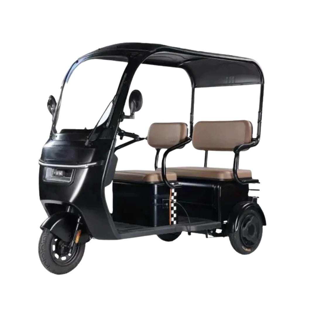 Enclosed 3-Passenger Electric Tricycle with Roof and 1500W Motor