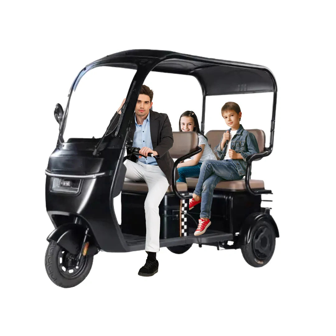 Enclosed 3-Passenger Electric Tricycle with Roof and 1500W Motor