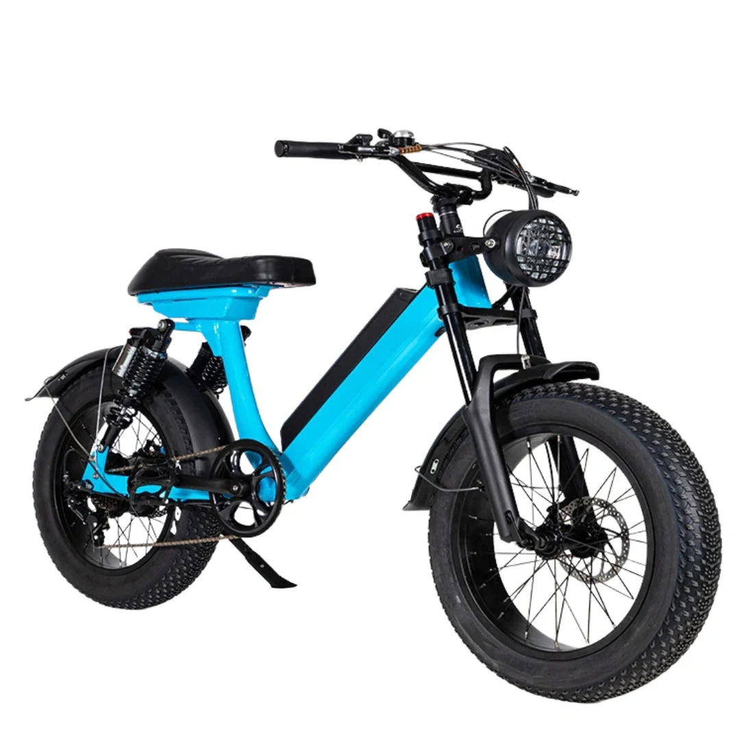 Retro Fat Tire Electric Bike with 500W Motor and 48V Removable Battery