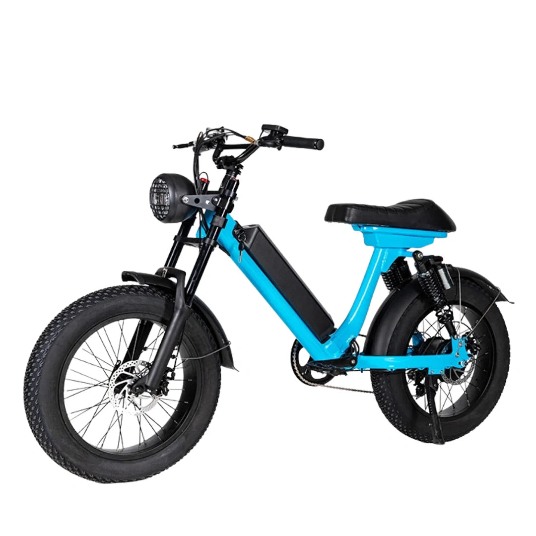 Retro Fat Tire Electric Bike with 500W Motor and 48V Removable Battery