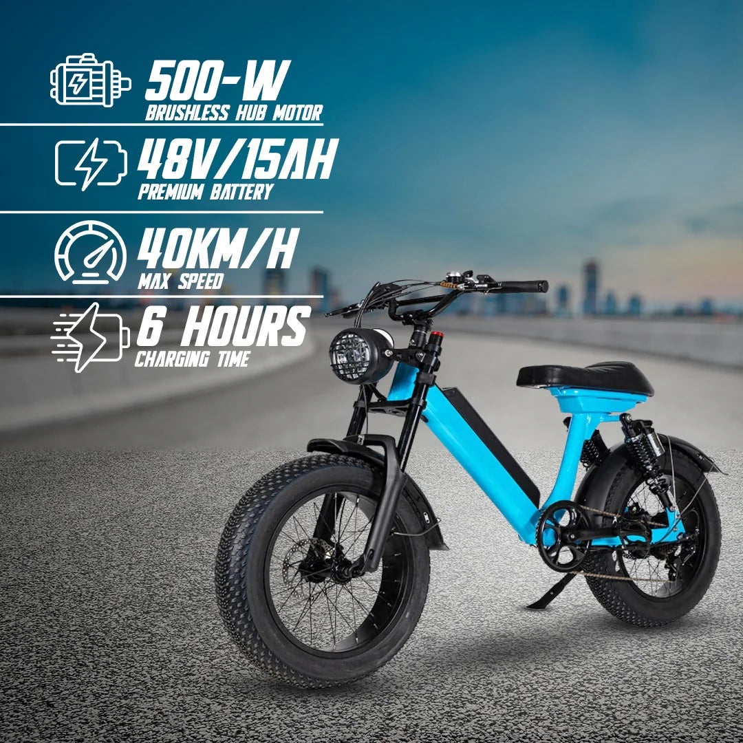 Retro Fat Tire Electric Bike with 500W Motor and 48V Removable Battery