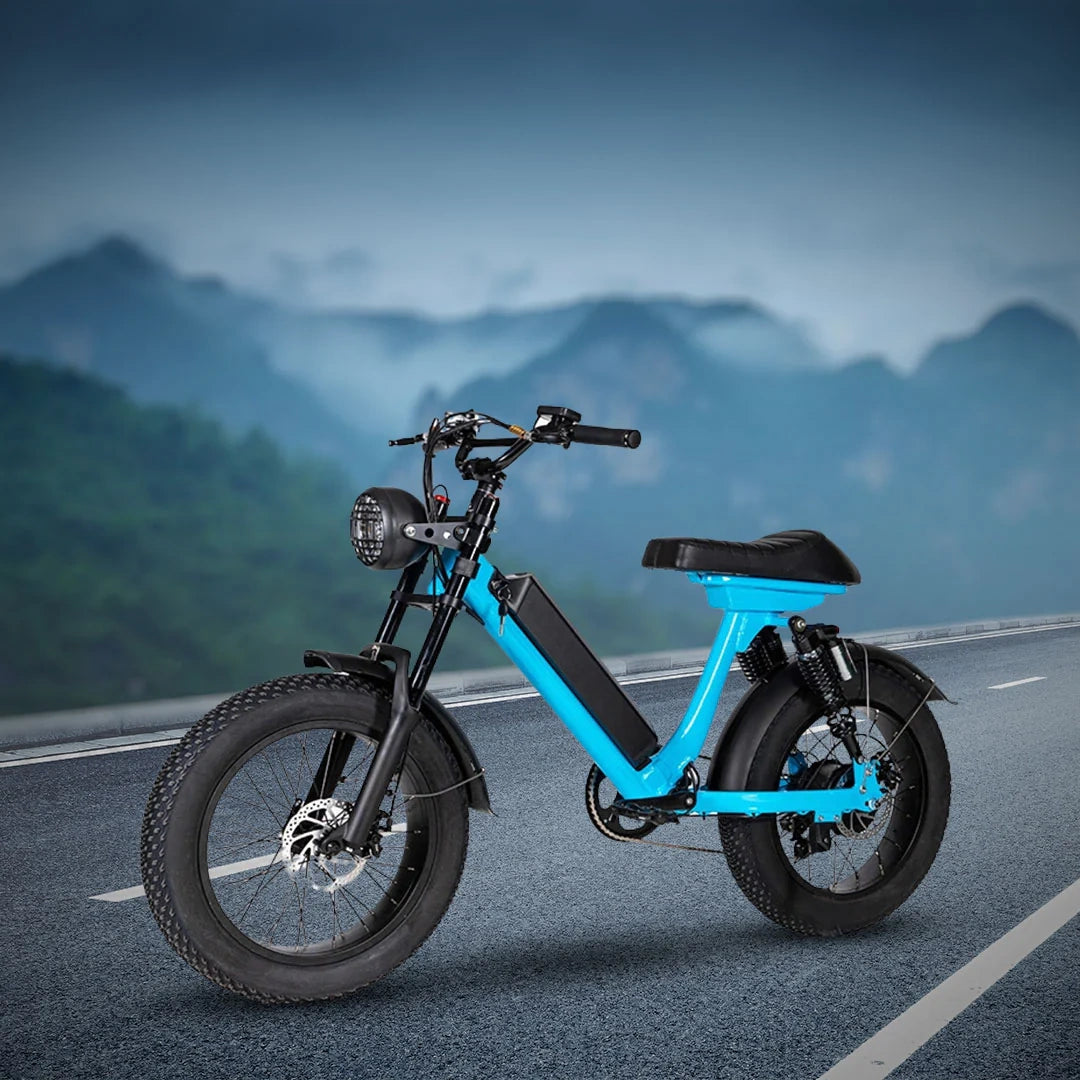 Retro Fat Tire Electric Bike with 500W Motor and 48V Removable Battery