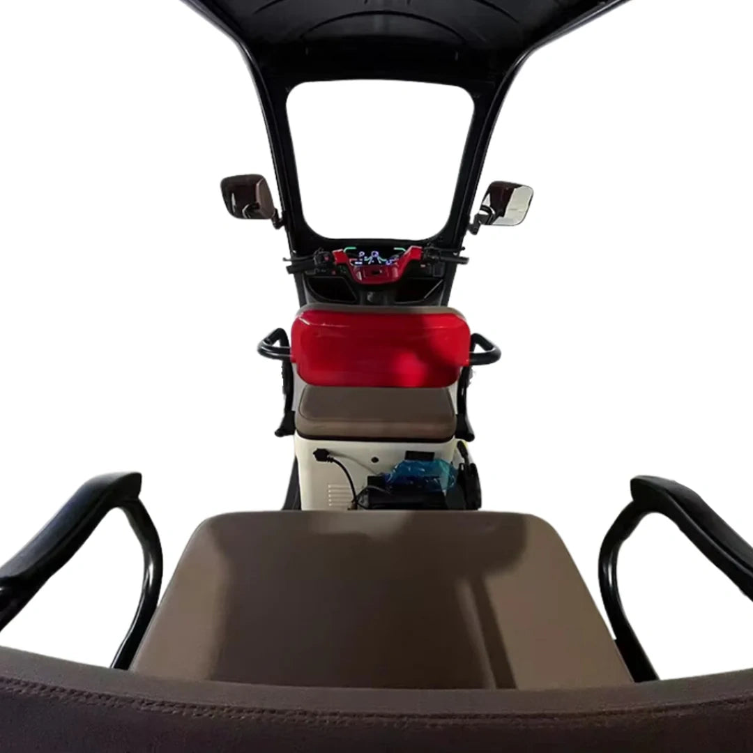 Enclosed 3-Passenger Electric Tricycle with Roof and 1500W Motor