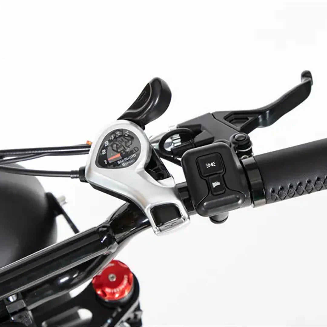 Retro Fat Tire Electric Bike with 500W Motor and 48V Removable Battery