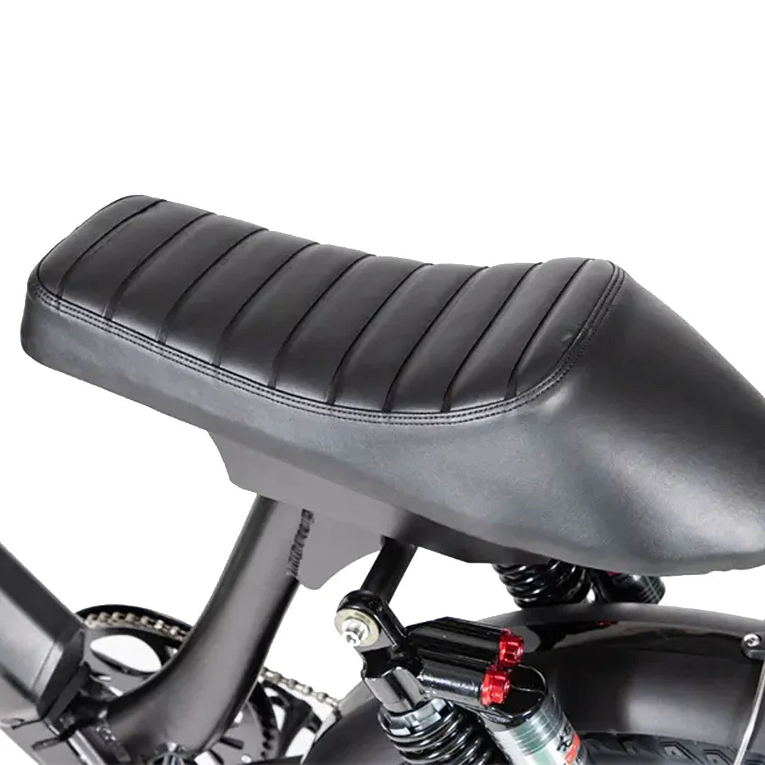 Retro Fat Tire Electric Bike with 500W Motor and 48V Removable Battery