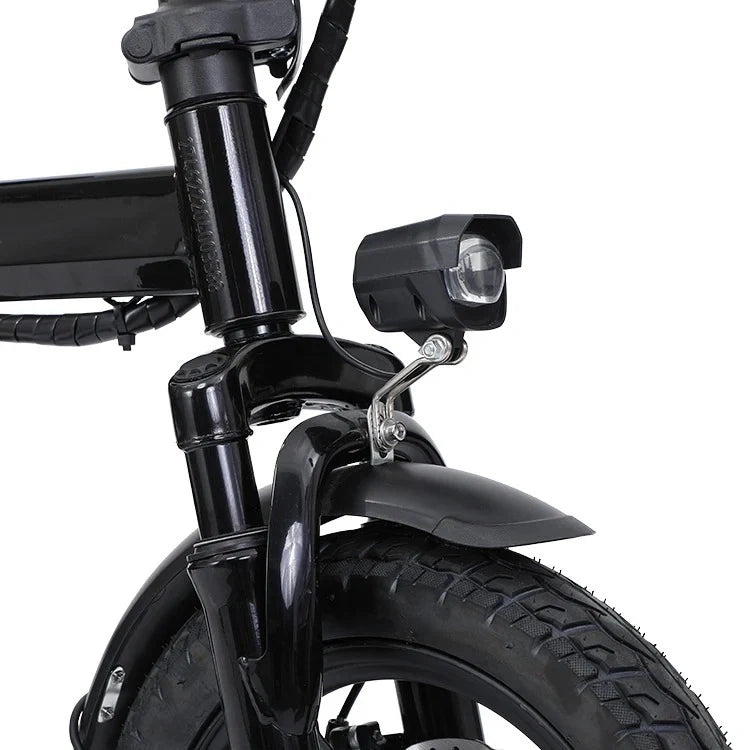 Foldable Electric Bike with 350W Motor, Removable Battery, and Dual Seat