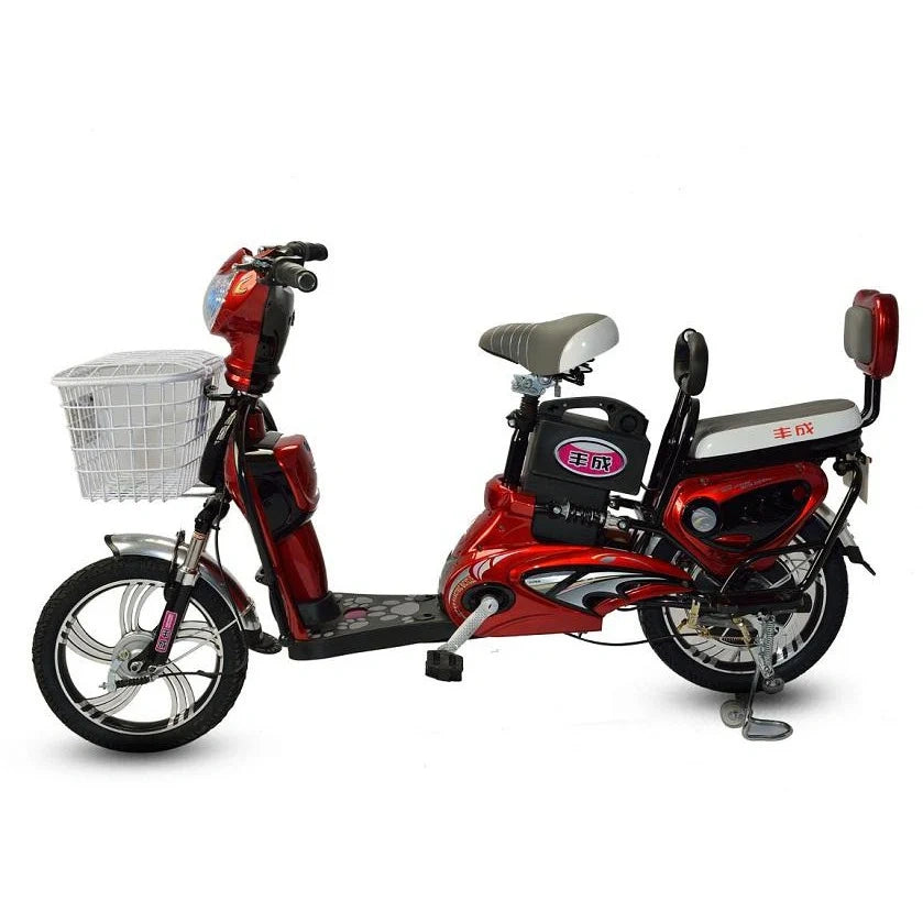 Electric Utility Bike with 500W Motor and 48V Removable Battery