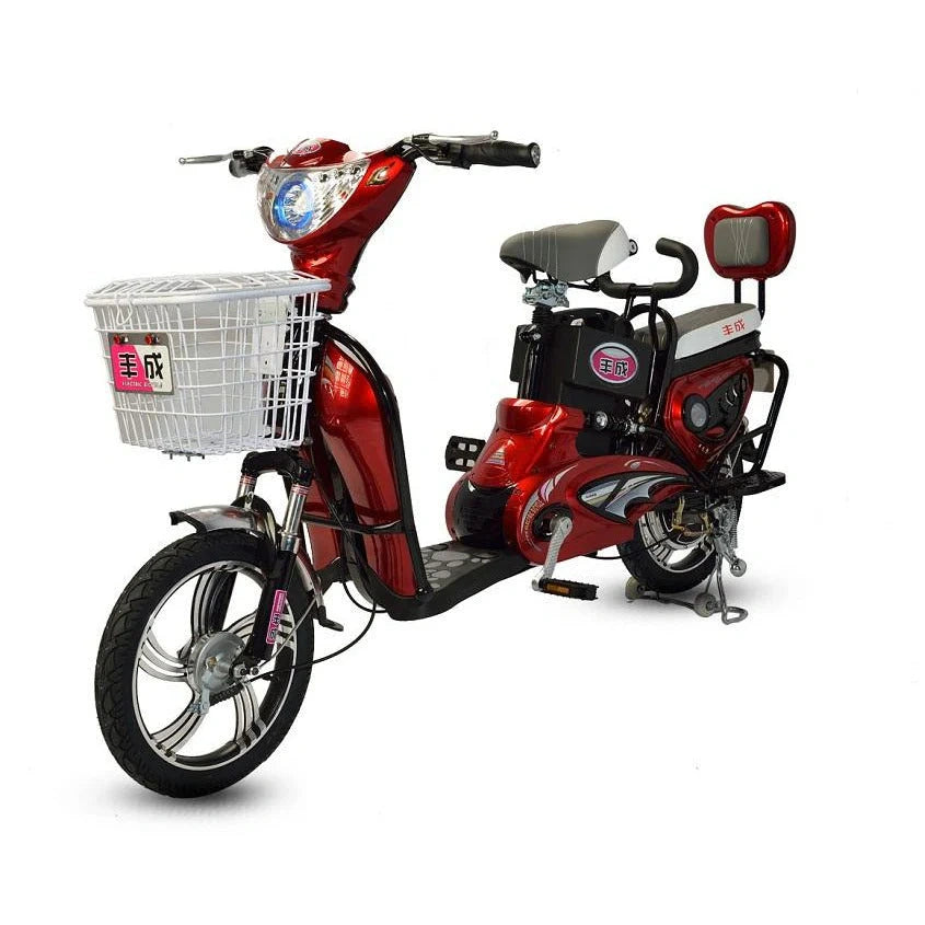 Electric Utility Bike with Dual Seat, Extra Battery and Pedal Assist