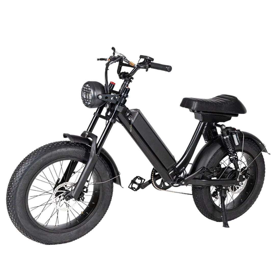 Retro Fat Tire Electric Bike with 500W Motor and 48V Removable Battery