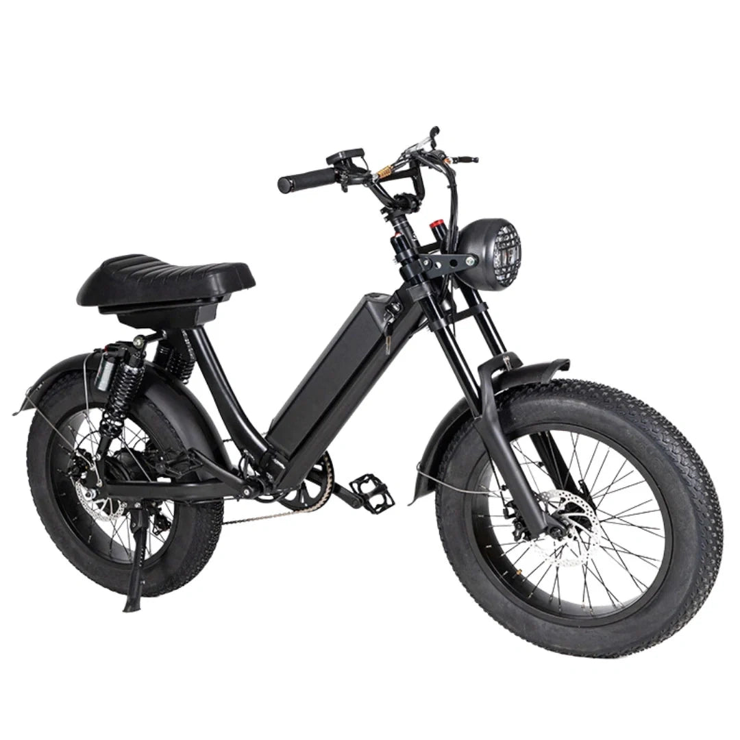 Retro Fat Tire Electric Bike with 500W Motor and 48V Removable Battery