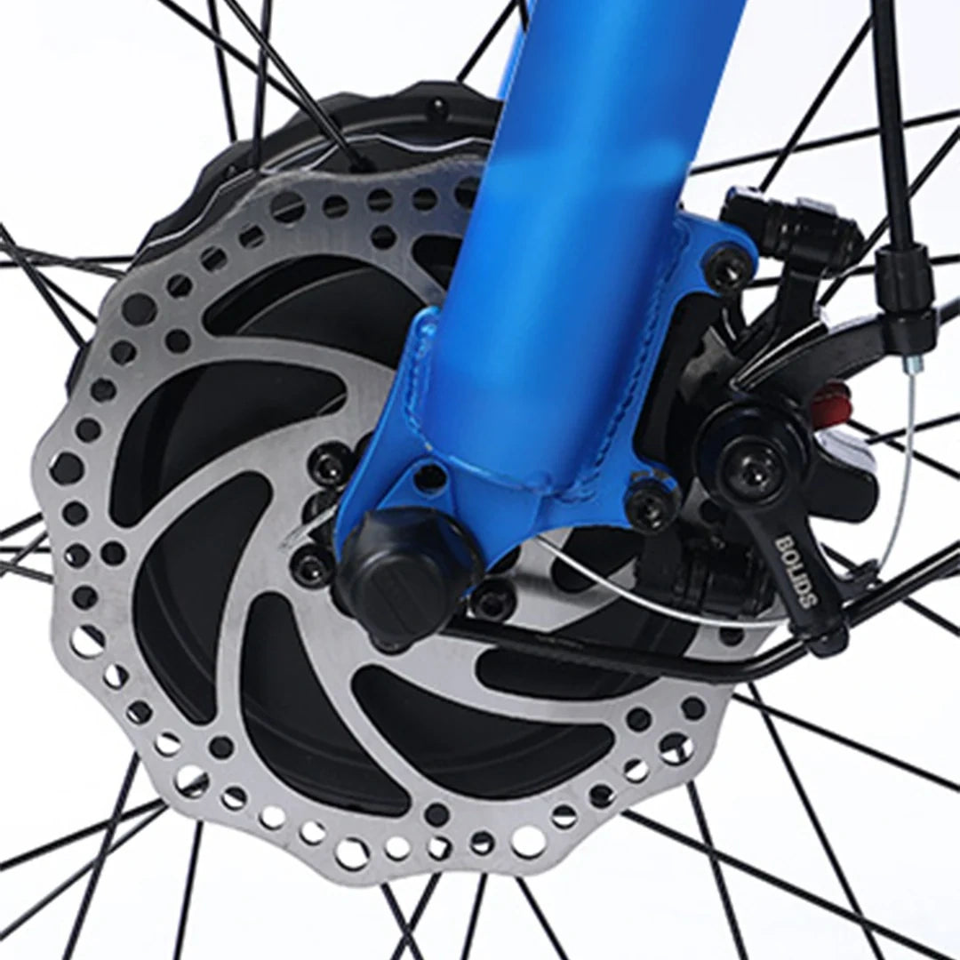 Electric Cargo Trike with Fat Tires and 300kg Load Capacity