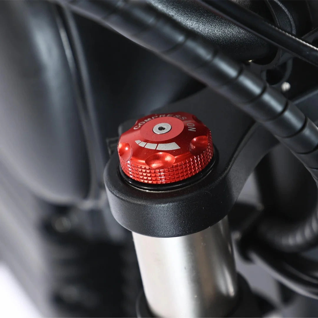 Fat Tire Electric Chopper Bike with 1000W Motor and Removable Battery