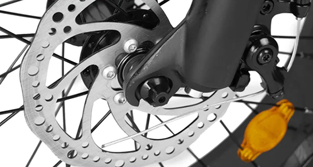 Retro Fat Tire Electric Bike with 500W Motor and 48V Removable Battery