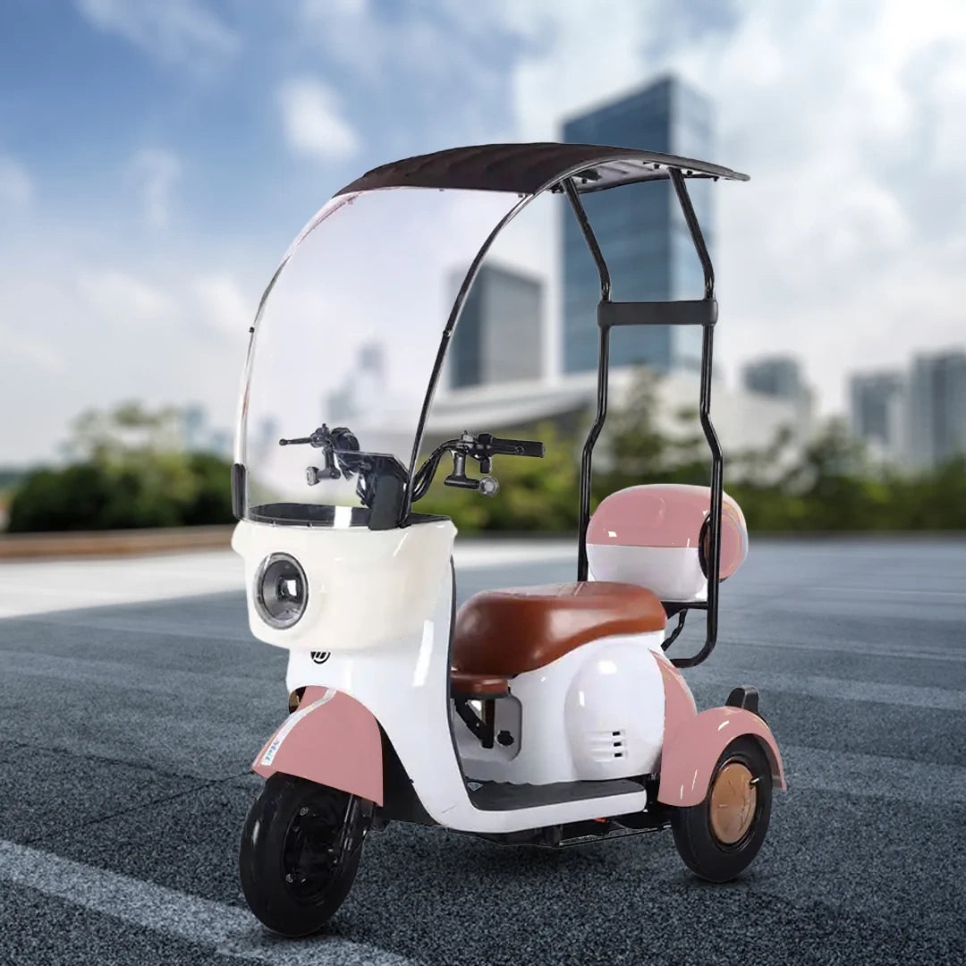 Three-wheeled electric scooter with a canopy on a road with a cityscape background