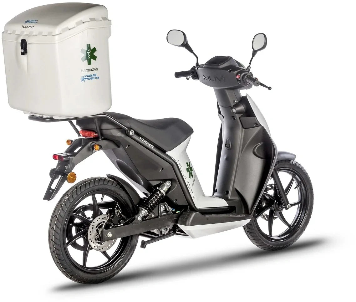 Electric scooter with a cargo box on a white background