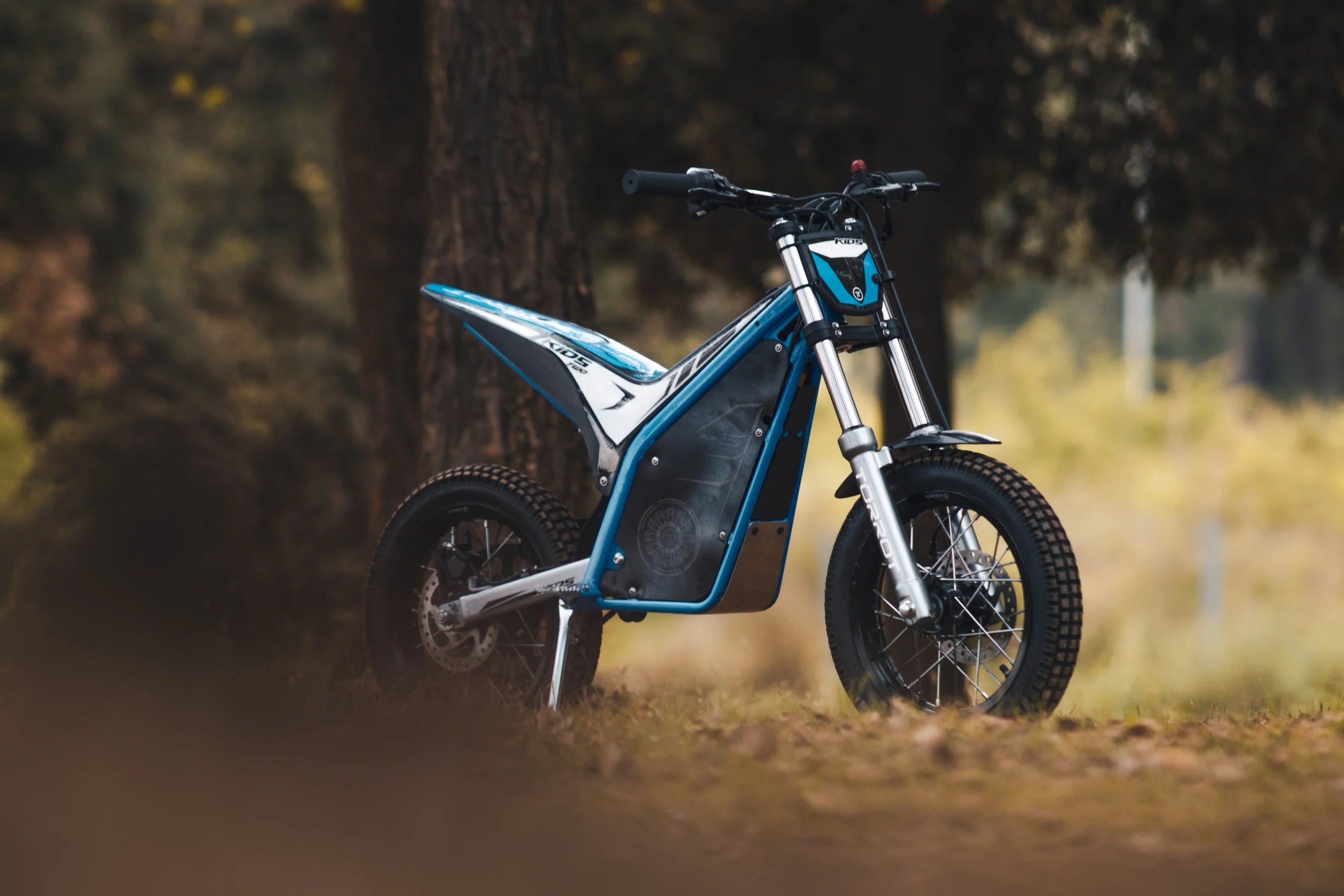 Blue electric bike in a forest setting